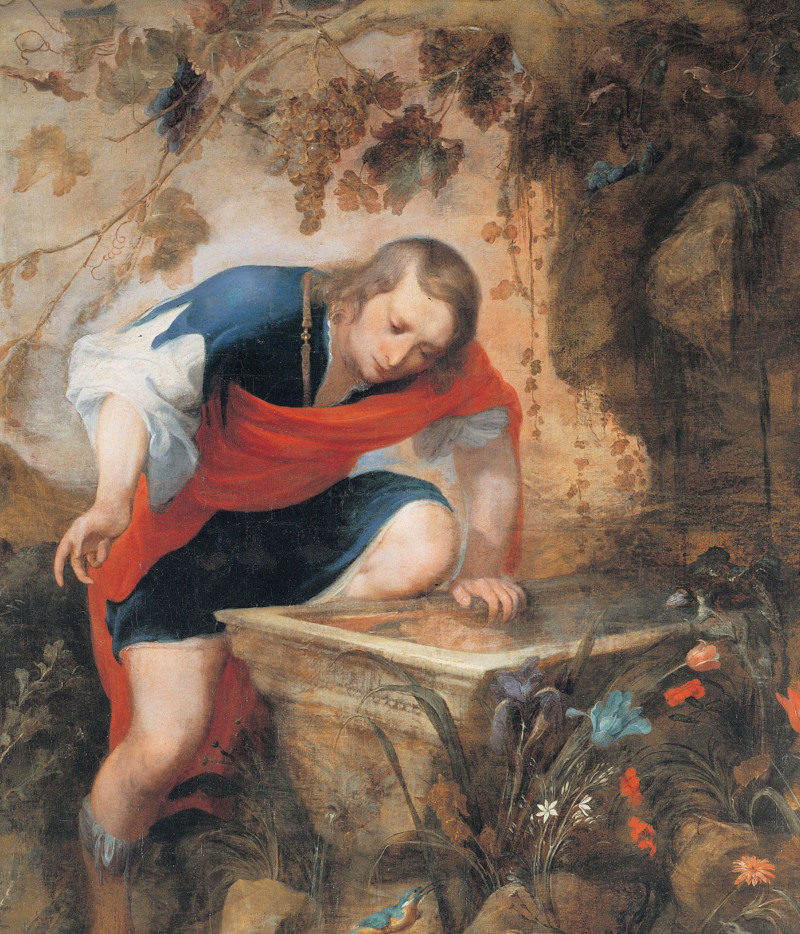 Narcissus
